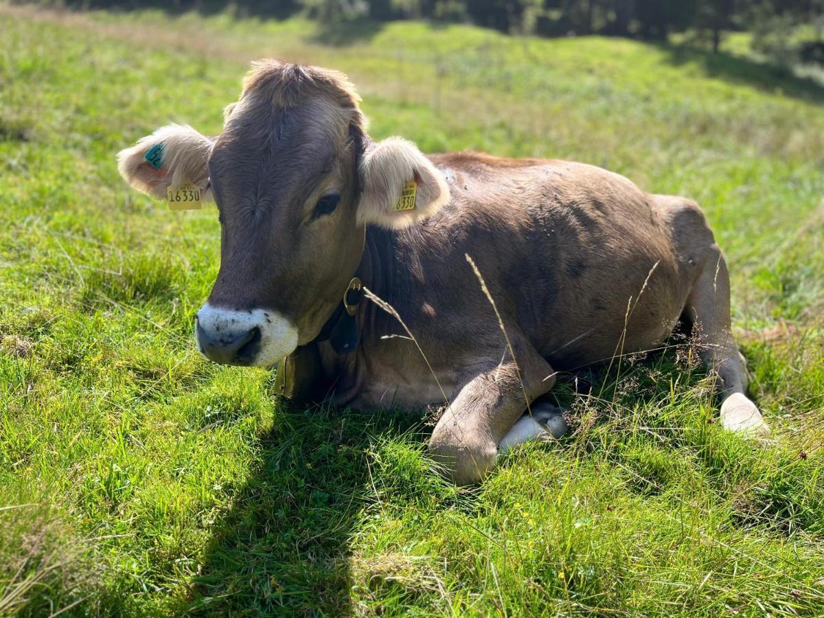 Ferienwohnungen Mama Elva Leutkirch im Allgau Exterior photo